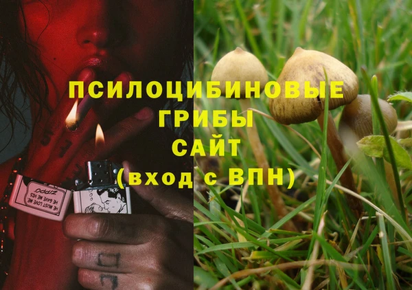 марки nbome Аркадак